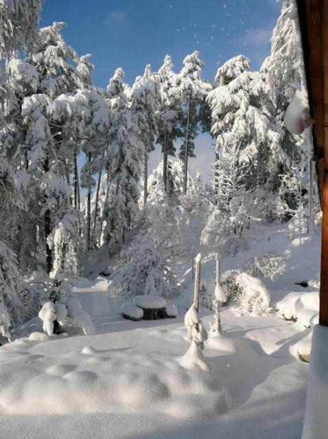 Pension Casa Selva Trin Экстерьер фото